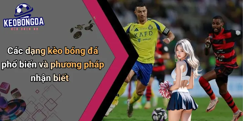 Soi Kèo