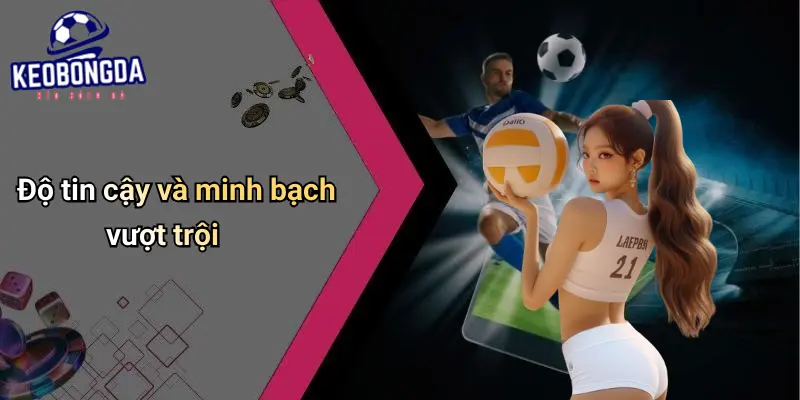 Livescore: Tỷ Số Bóng Đá Trực Tuyến Và Bí Quyết Đọc Kèo Hay 48 Livescore