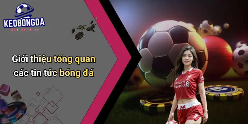 Tin Tức Bóng Đá
