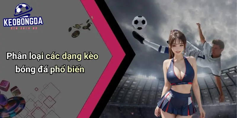 Livescore: Tỷ Số Bóng Đá Trực Tuyến Và Bí Quyết Đọc Kèo Hay 47 Livescore