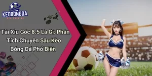 Tài Xỉu Góc 8-5 Là Gì