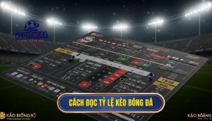 Cách đọc tỷ lệ kèo bóng đá