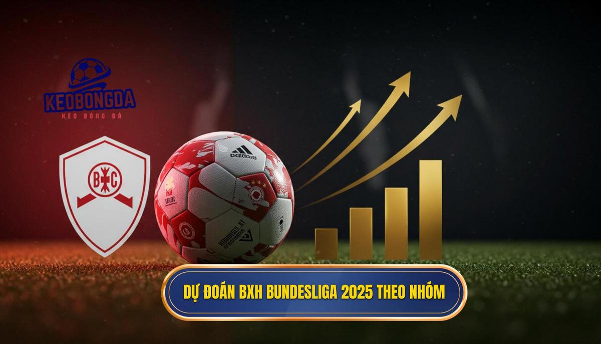 Bảng Xếp Hạng Bundesliga 2025: Phân Tích Chuyên Sâu Từng Đội 2 Phần II_ Dự Đoán Bảng Xếp Hạng Bundesliga 2025 Theo Nhóm Đội