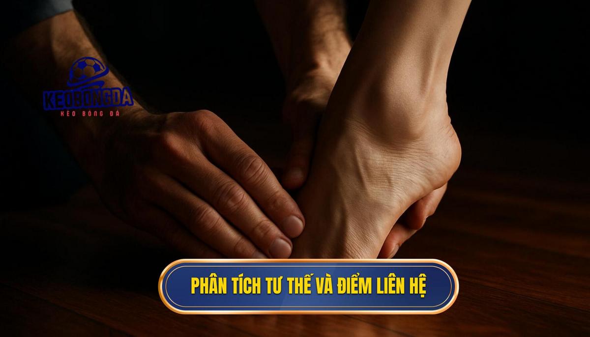 Phân tích tư thế và điểm tiếp xúc
