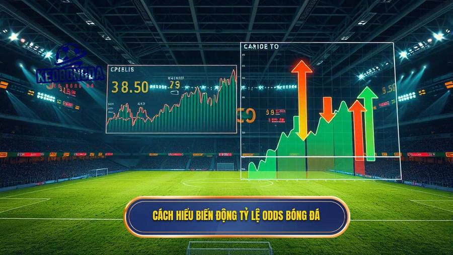 1. Cách hiểu biến động tỷ lệ odds bóng đá