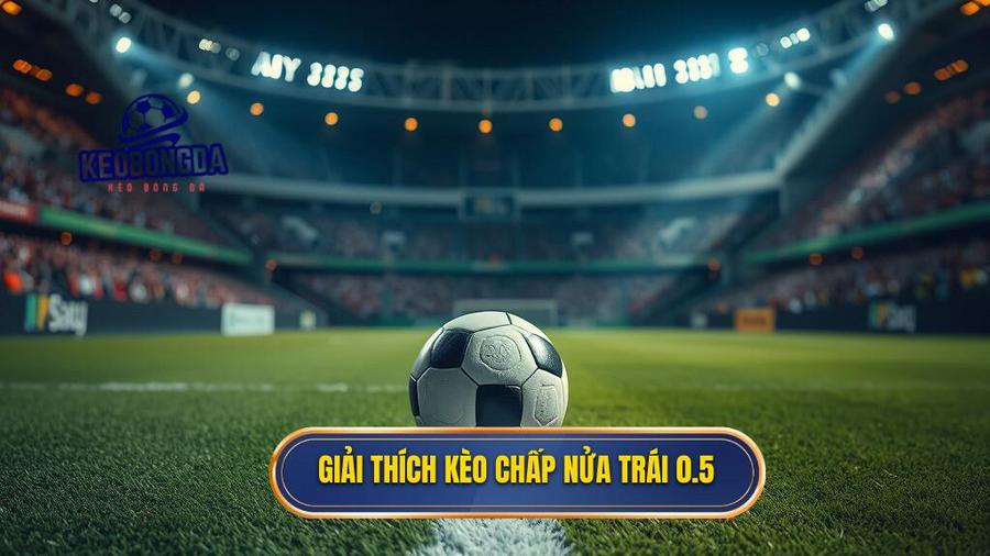 1. Giải thích kèo chấp nửa trái 0.5