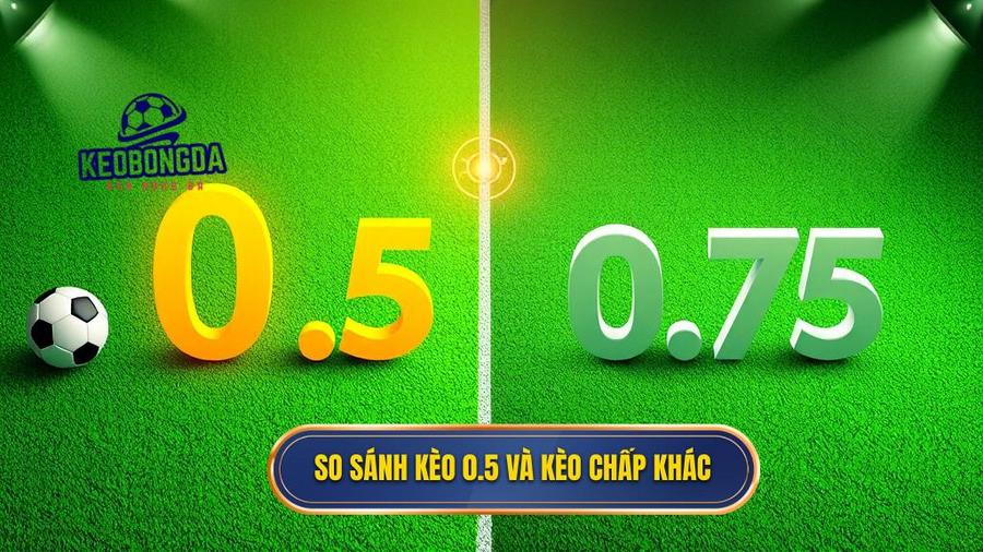 3. So sánh kèo 0.5 và kèo chấp khác