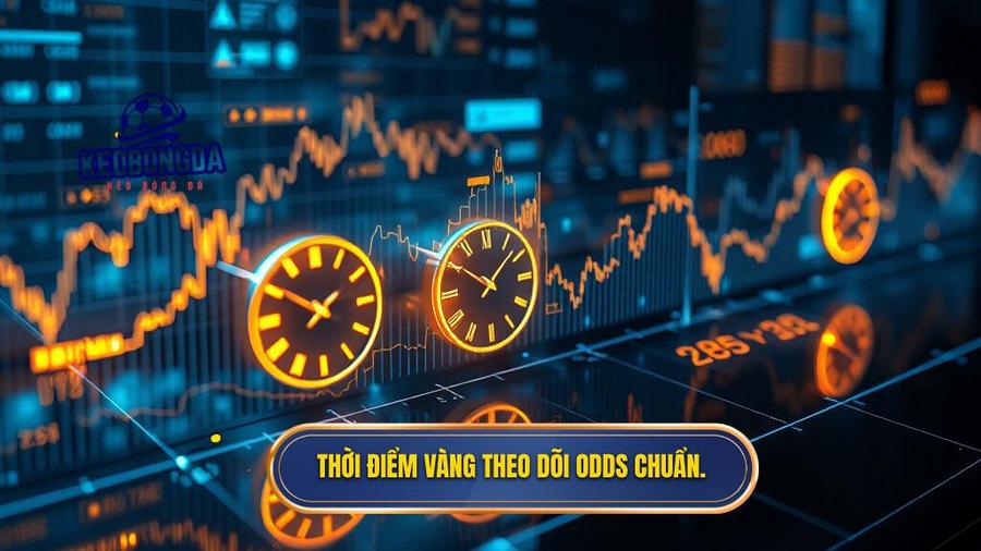 3. Thời điểm vàng theo dõi Odds chuẩn.