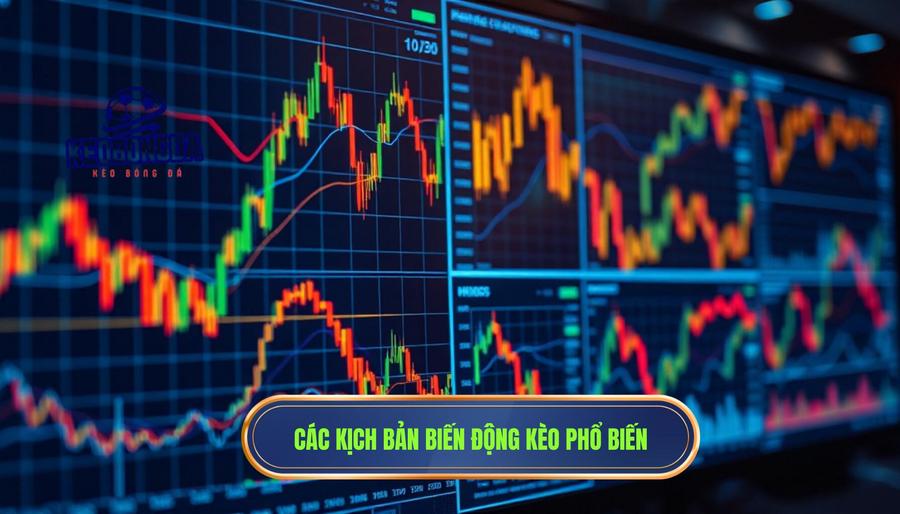 Phân tích các kịch bản biến động kèo phổ biến