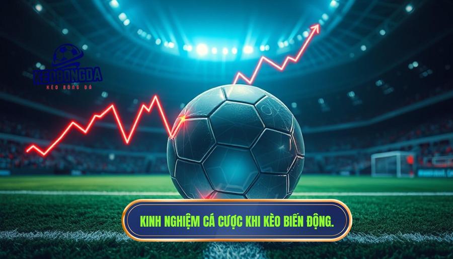 Vậy, có nên cược khi kèo biến động liên tục trước trận?