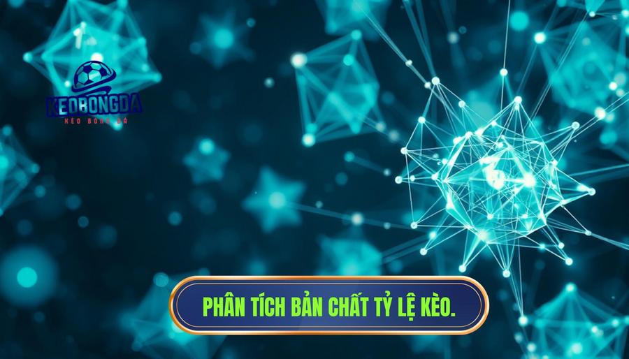 Phân tích đa chiều: Bản chất thực sự của tỷ lệ kèo