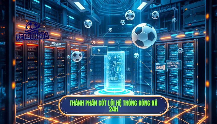 Bóng đá 24h – Nhịp đập túc cầu thế giới trong tầm tay bạn 2 Thành phần cốt lõi hệ thống bóng đá 24h