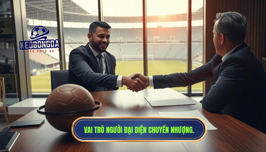 Vai trò người đại diện chuyển nhượng